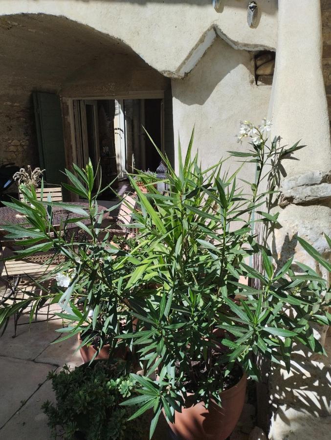 Chez Les Filles Bed & Breakfast Dions Exterior foto