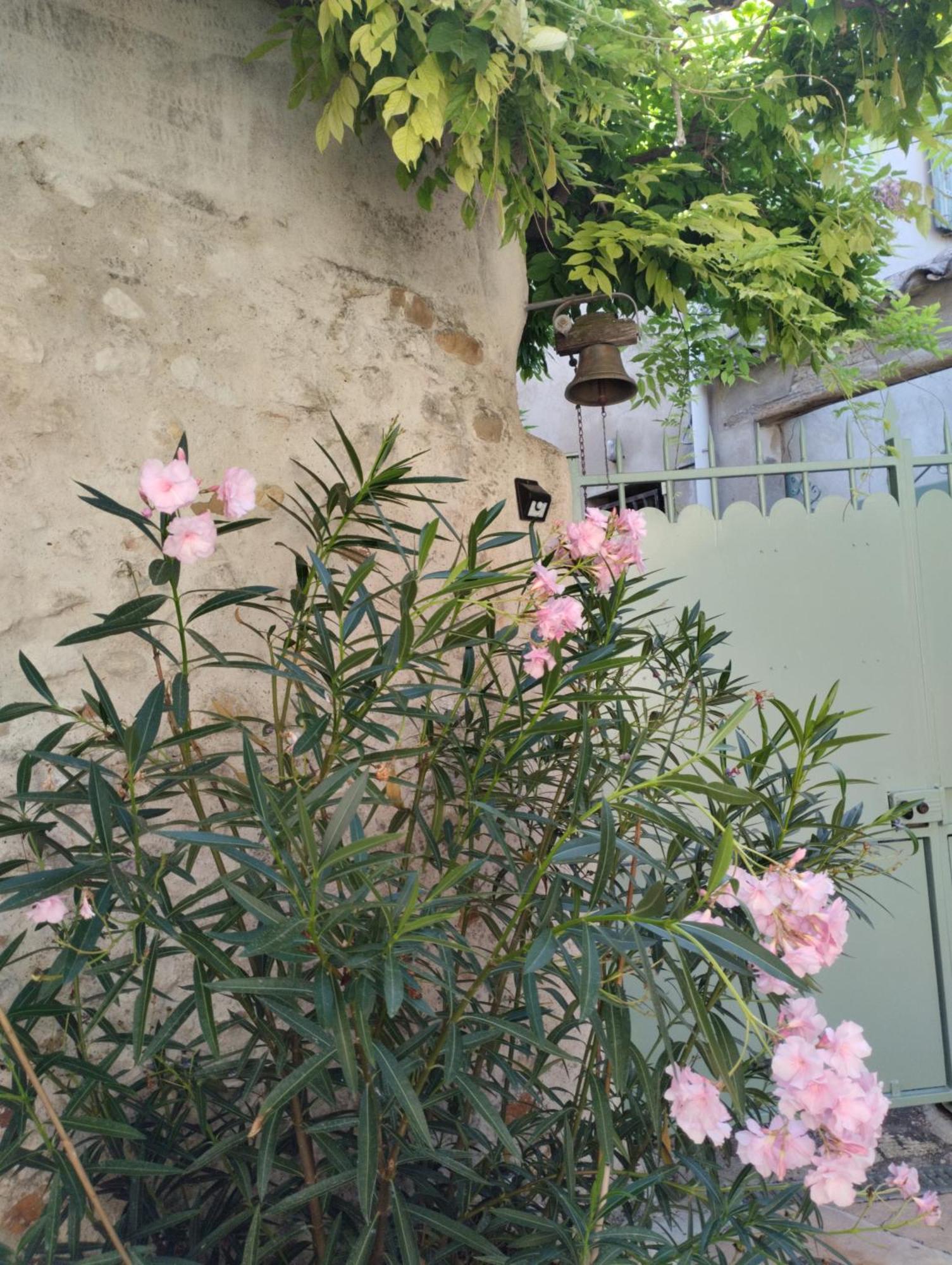 Chez Les Filles Bed & Breakfast Dions Exterior foto